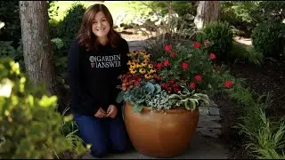 How to Plant a Fall Container That Lasts All Season | Proven Winners&reg;