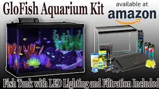 GloFish Aquarium Kit Fish Tank with LED Lighting and Filtration Included