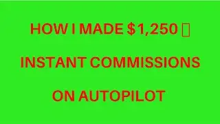 25 Dollar 1 up | How I made $1,250 on Autopilot| Get started Today !