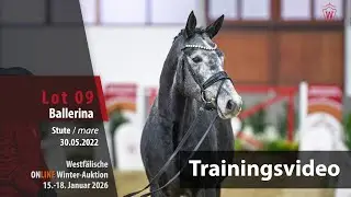 Online Winter-Auktion 2026 Training Lot 9 Ballerina Stute v. Bach - Hotline