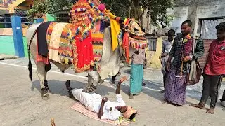 గంగిరెద్దు MBBS హూ హ హూ హా