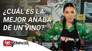 &iquest;Cu&aacute;l es la mejor a&ntilde;ada de un Vino? | Yo Sommelier FAQs