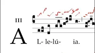 Alleluia: Adducentur regi