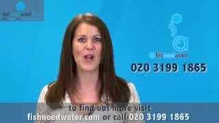 Brexit and the effect on the East Dulwich Property Market by Fish Need Water Estate Agents