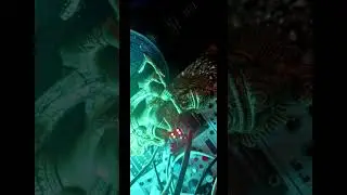 KRSNA #meditation #eurorack #experimentalmusic #strings #soundscape #ambient #glitch #noise #vibes
