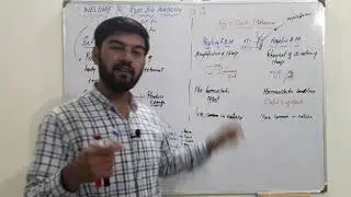 Homeostasis Part 02Feed Back Mechanism