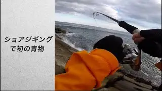【ダイソーのメタルジグ】で念願の初！青物！！