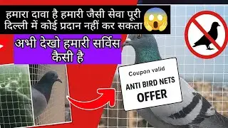 Delhi में Best Pigeon Nets Installation | Anti Bird Nets & Bird Control Services Balcony Safety Nets