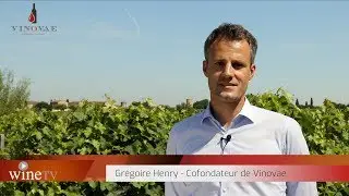 Vinovae & WineTV