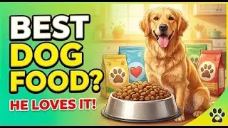 Drools vs Bairo: Best Dog Food Kon Sa Hai? 🐶 + Special Subscriber Offer!