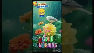 Good morning friends, 🌹🌄#statusvideo #instrumental #goodmorning #shortfeed #shortvideo #ytshorts