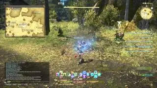 Final Fantasy XIV - Microchu Location