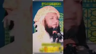 molana qari abdul Hafeez faisalabadi