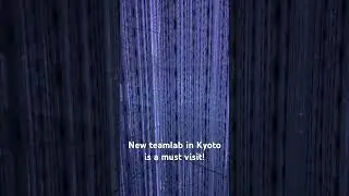 Visiting Teamlab in Kyoto! #teamlab #biovortex #kyoto #japan #travel