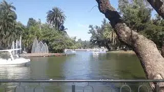 LAGOS DE PALERMO 🤗🌴🍃