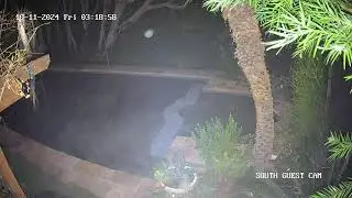Fog, Wind Mist & Orb (Soft Horror 10.11.24 Haunted, Spirit, Ghost, Unexplained)