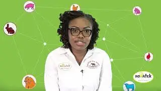 Basics of Feeding Poultry &ndash; Complete Feeds and Concentrates