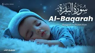Surah Al Baqarah Full سورة البقره | PROTECT YOURSELF FROM EVIL | Surah Baqarah Lofi | LOFI QURAN