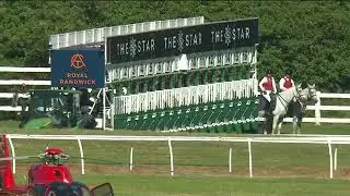 2024 ATC  RANDWICK COUNTRY CHAMPIONSHIPS FINAL