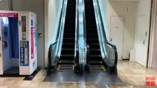 【東芝】1X エスカレーター　サンファーレ桑名 1X escalator SUNFARE Kuwana building Mie Japan