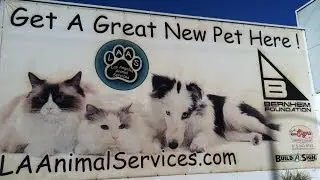 LA Animal Services
