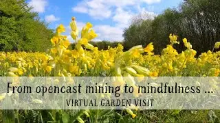 From opencast mining to mindfulness ...
