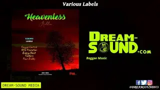 Heavenless Riddim - 2000-2004