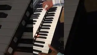 Mstr.JERRYNEWMAN-ORGANWORKS