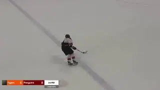 League Game 2. Texas Tigers Vs Dallas Penguins