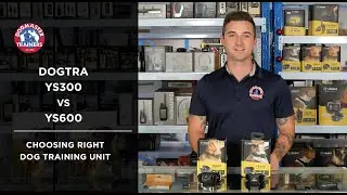 Dogtra YS300 и YS600. Как выбрать правильный продукт для вашей собаки