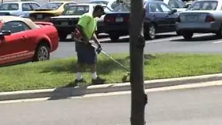 Good Labor Jobs, Branson, MO