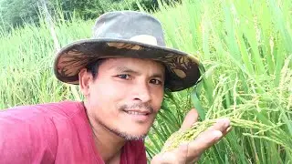 Eikhoigi Louda Phou Phajabra | My New Vlog Video @mneriVlog