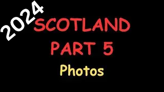 Wildlife Photography with Canon R5 | Argyll, September 2024