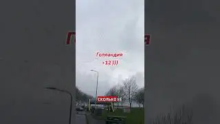 Голландия фуры грузовик коллеги погодные условия