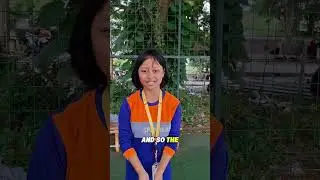 Performance & Presentation's Dance Co-curricular | Group 2 Class VIII A 🔥💃