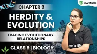 Tracing Evolutionary Relationships Class 10 | Heredity And Evolution | Biology Class 10 Chapter 9
