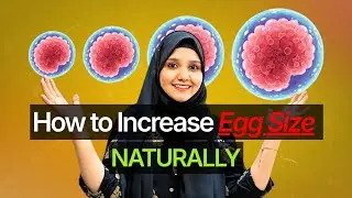 How to Increase Egg Size Naturally? | Fast Follicle Growth Tips 🥚