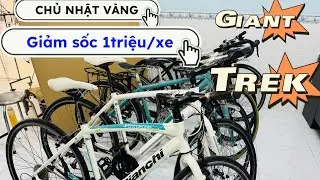 L&Ocirc; xe thể thao VIP BIANCHI, TREK phuộc carbon - đĩa , GIANT si&ecirc;u đẹp