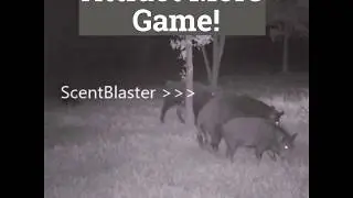 Attract More Game