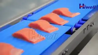 Hiwell-portion cutting and sorting system