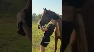 тгк ESTAYRA STORIES
