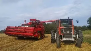 Oat Harvest 2025 Massey Ferguson 760 V8, MF 1155 V8 & MF 1200