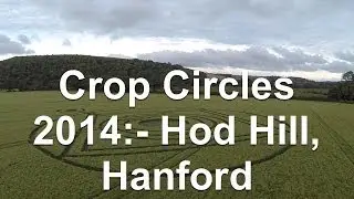 Crop Circle 2014 - Hod Hill, Hanford, Dorset. An Aerial View