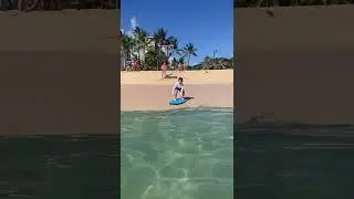 bodyboard dive in getting better #Waikikii #queen's beach #bodyboard #cool #boogie board