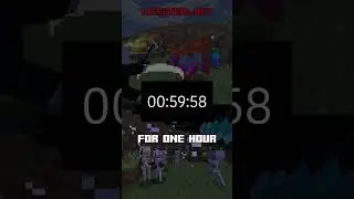 What is the Best Way to make Coins on the Lifesteal SMP?