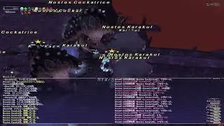 ff11 脳筋４垢日次クルエルオデB 20260109