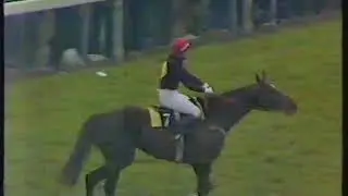 1983 Christies Foxhunters Chase - Cheltenham 17-03-1983