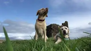 Merlin and Lance at Ballinskelligs Castle