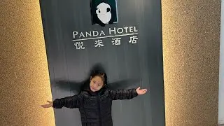 Macau to Hongkong / HZMB / Mongkok / tsuen wan/ panda hotel