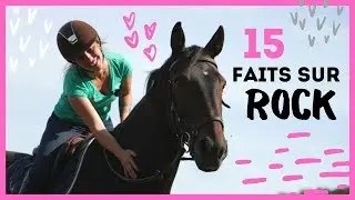 LES 15 FAITS SUR ROCK (...) !!!!! 🗯😱 I Georgette ou Taxi ? 🦄